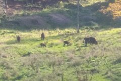 Bieszczady_09_2022_07