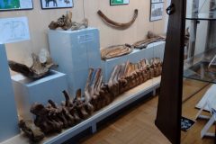 IMG_20221216_123047659