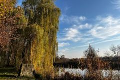 MuzGomb_11_2022_01