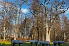 MuzGomb_11_2022_012