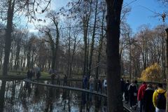MuzGomb_11_2022_015