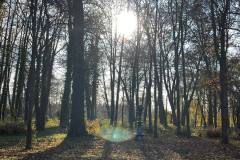 MuzGomb_11_2022_08